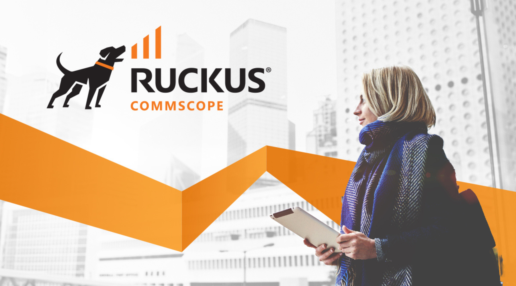 Você conhece a Ruckus Networks?